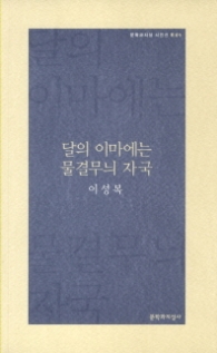 달의 이마에는 물결무늬 자국(문학과지성 시인선R01)